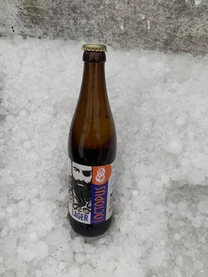 Бутылка Octopus от Octo Microbrewery, охлаждённая в льду