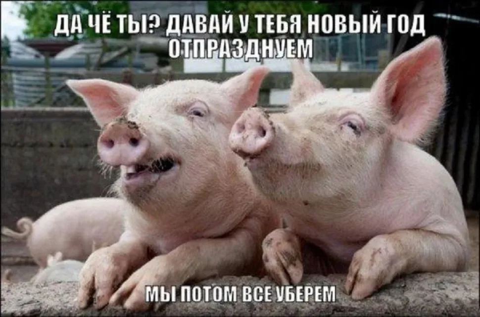 Переписка о записи в фитнес как новогоднее обещание