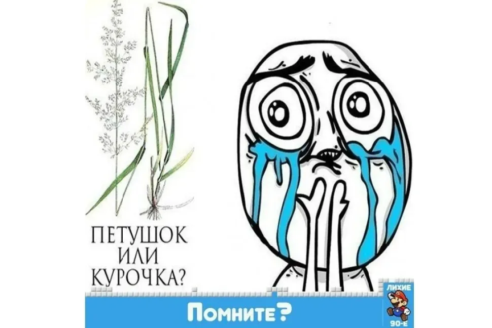 Минутка смеха: ностальгия по 90-х — выпуск 11: фото 42