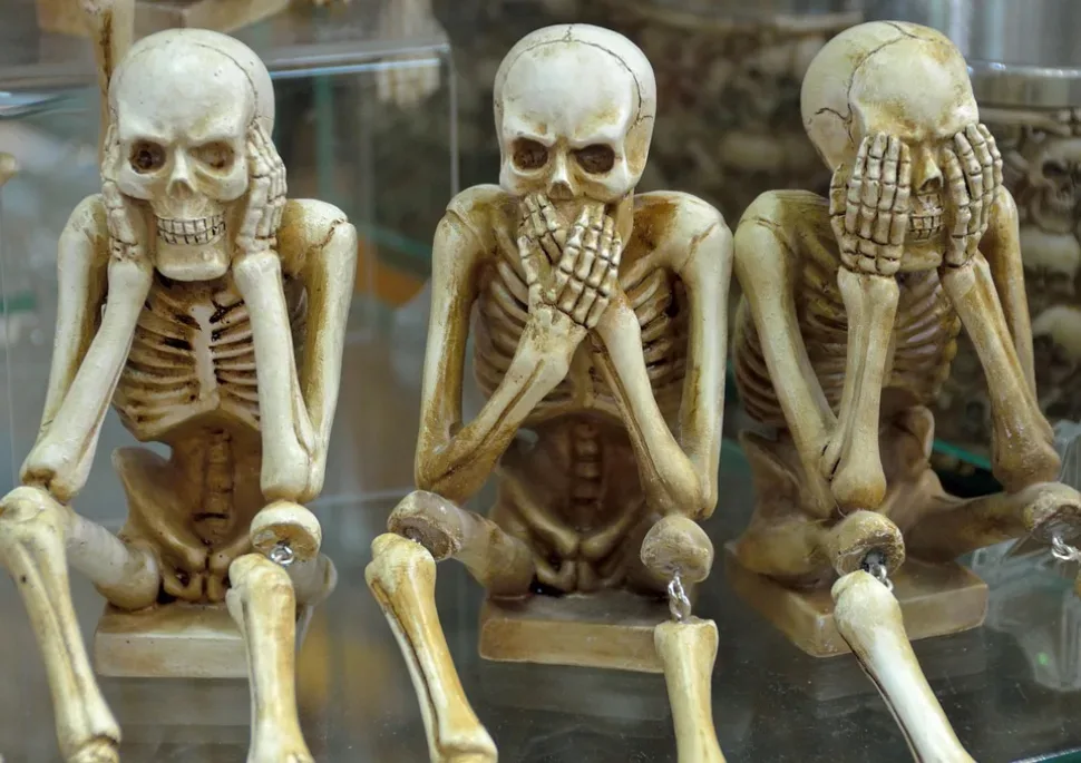 Skeletons, Funny, Hear No Evil, Speak No Evil