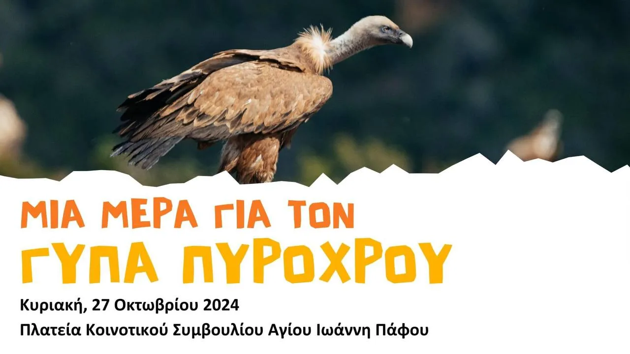 Выставка о жизни грифов