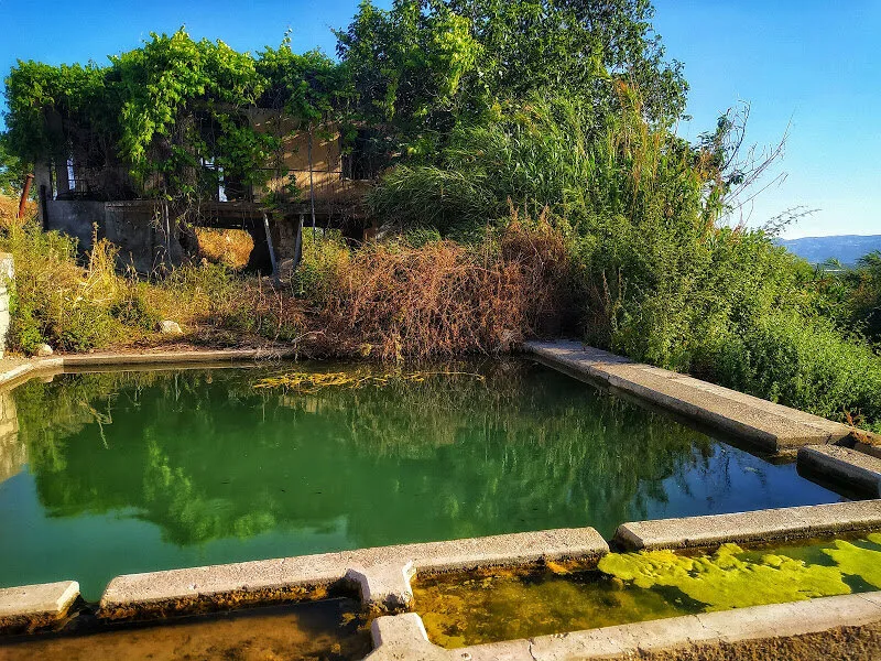 Водное сооружение в деревне-призрак, где плавают рыбы