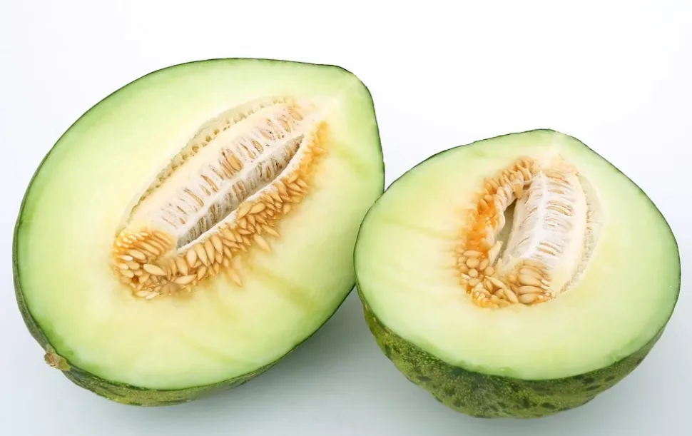 Food, Fresh, Fruit, Green, Healthy, Melon, Natural