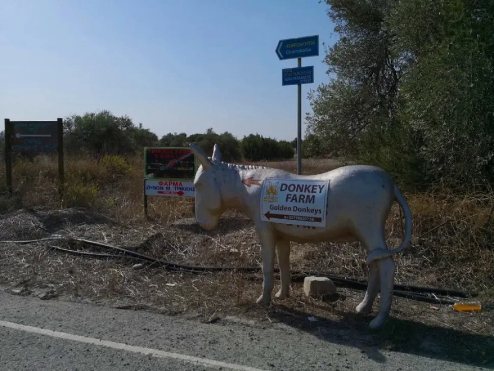 Указатель Donkeys Farm возле сельской дороги у фермы Golden Donkeys Farm Указатель Donkeys Farm возле сельской дороги у фермы Golden Donkeys Farm