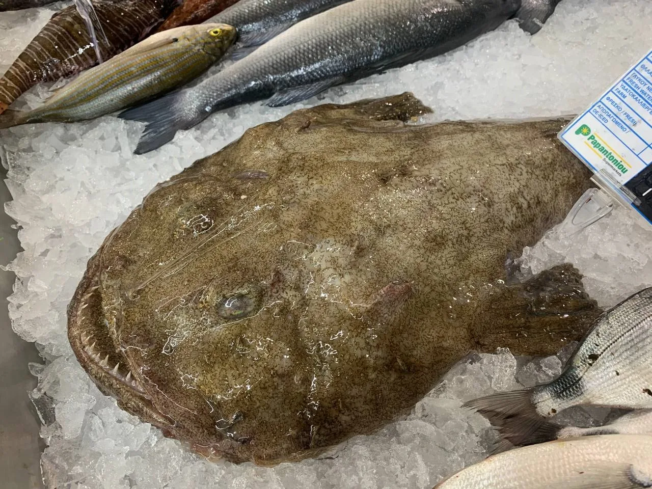 Морской черт на полках кипрских супермаркетов