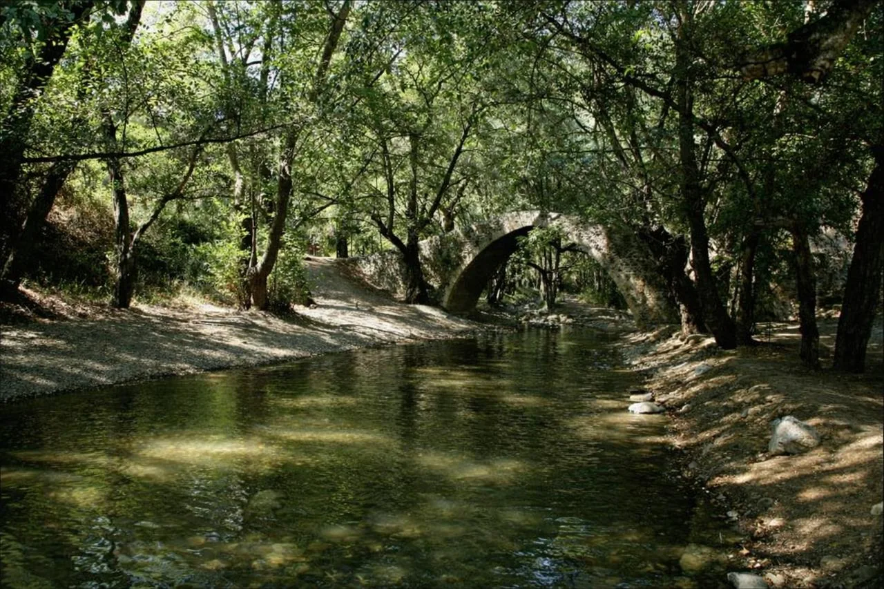 Paphos Forest Paphos Forest