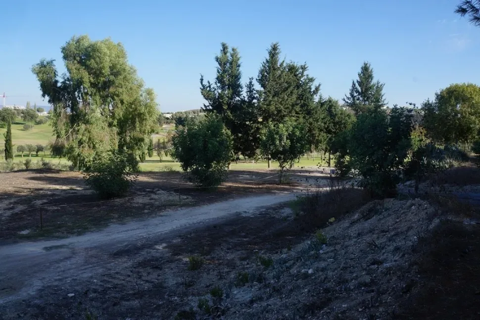 Панорама полей курорта с зелеными лужайками и деревьями