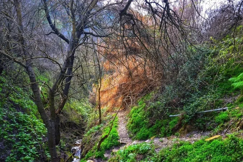 Хулу, Кипр: традиционная деревня и секретный водопад: фото 87