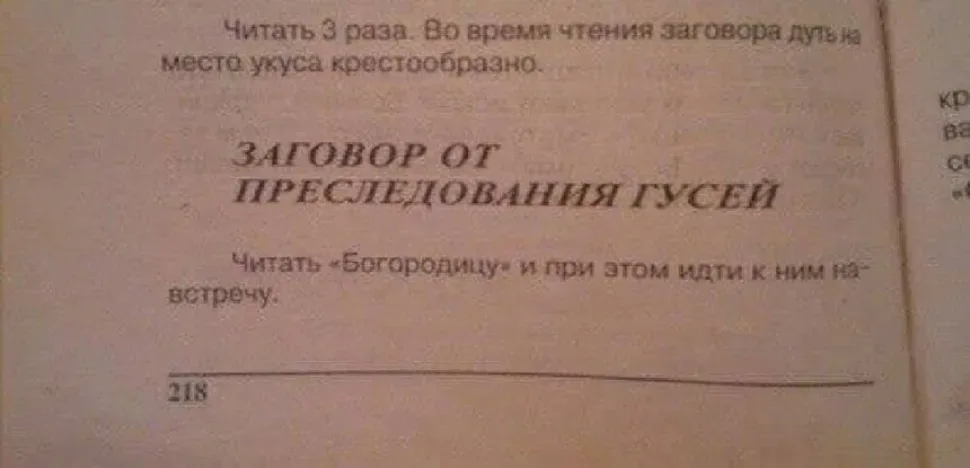 Серый слайд с крупной надписью про заговор от преследования гусей