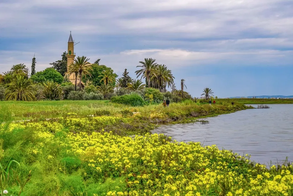 Cyprus, Larnaca, Lake, Salt Lake, Landscape, Morning