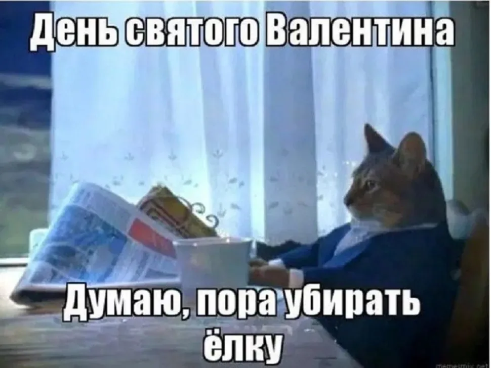 Мем с котом в костюме и надписью «День святого Валентина Думаю, пора убирать ёлку Мем с котом в костюме и надписью «День святого Валентина Думаю, пора убирать ёлку