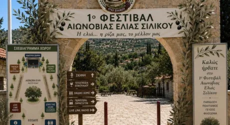 1-й Фестиваль Вековых Олив Силику