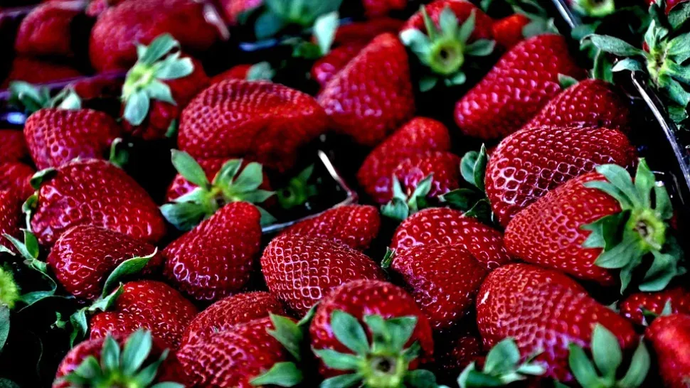 Strawberry, Red, Macro, Berries, Fruit, Ripe, Delicious