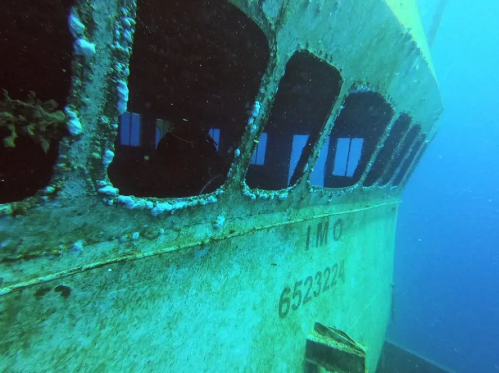 Фрагмент кормовой части с обрастаниями перед Zenobia wreck