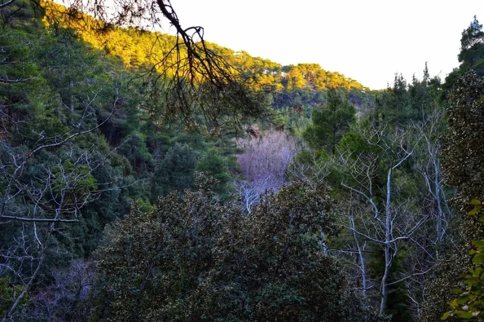 Тропа и информационная стела с указанием Kalidonia Waterfalls у входа