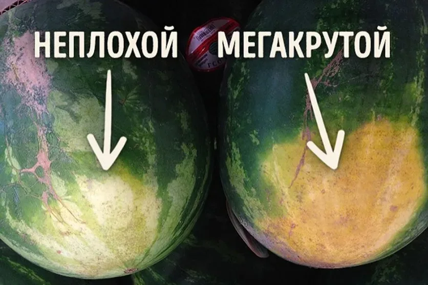 Снимок летнего пикника с ломтиком арбуза в форме платья и девушкой на заднем плане