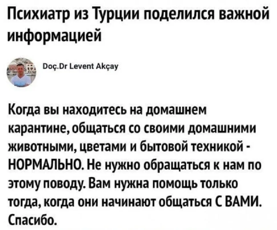 Чем заняться на карантине из‑за коронавируса: советы и идеи: фото 76