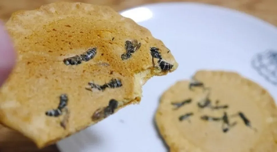 Крупный план мусанга, кушающего кофейные вишни в ферме