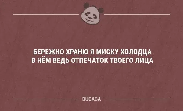 Новогодний юмор: шутки и смешные моменты — выпуск 14: фото 69