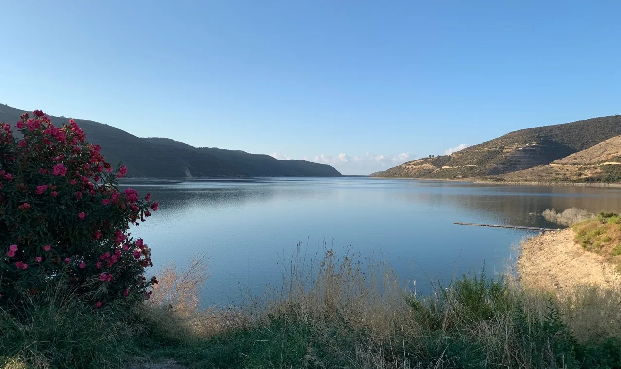 Ультимативный гид по рыбалке в пресных водохранилищах Кипра