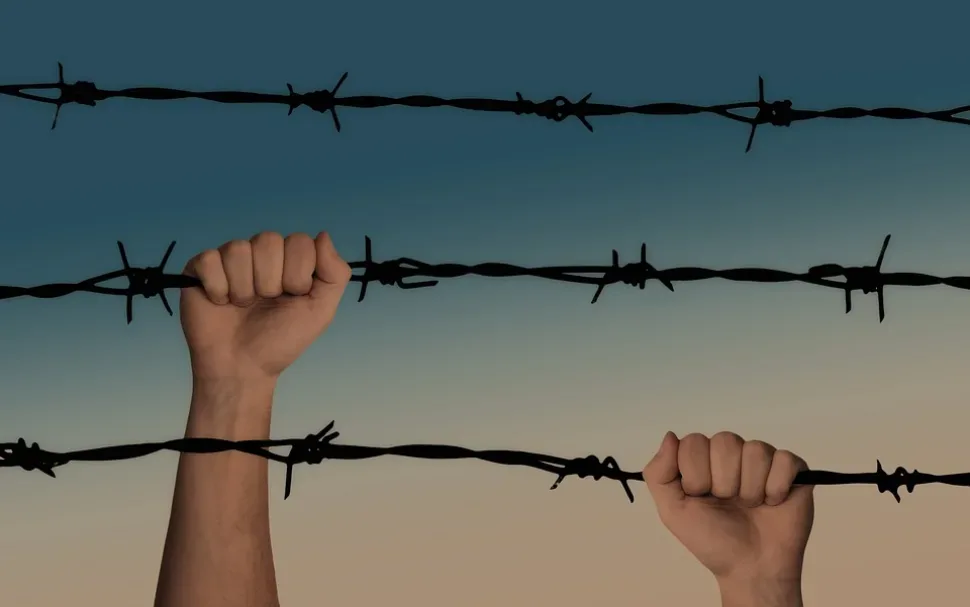 Hands, Barbed Wire, Caught, War, A Prisoner Of War