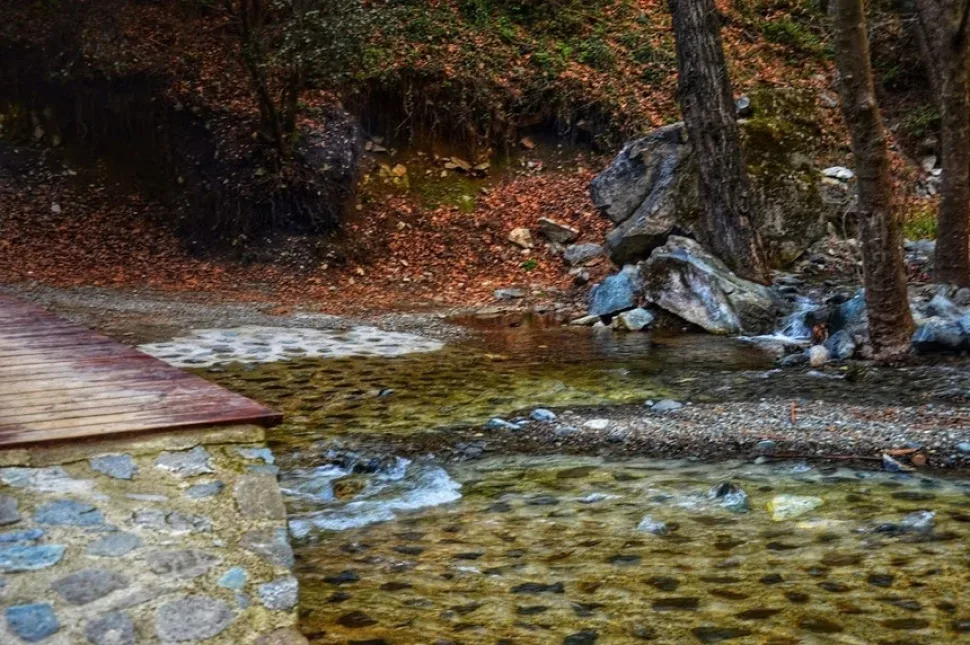 Крупный план водопада за стволом дерева, покрытым лианами