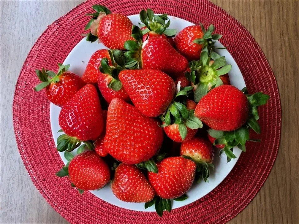 Сезон клубники на Кипре: фермы, сбор и рецепты: фото 2