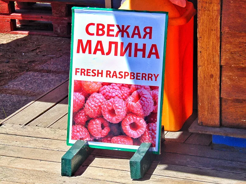 Русские не ушли!