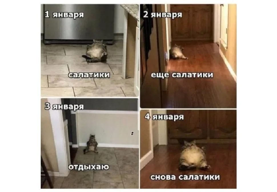 Новогодний юмор: шутки и смешные моменты — выпуск 14: фото 73