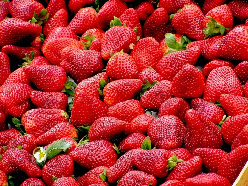 Strawberries, Fruit, Food, Red Fruit, Produce, Harvest