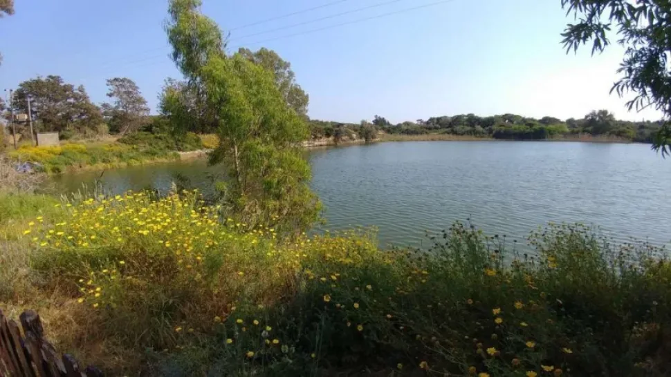 Озеро Деспотики с цветущими прибрежными травами и спокойной водной гладью