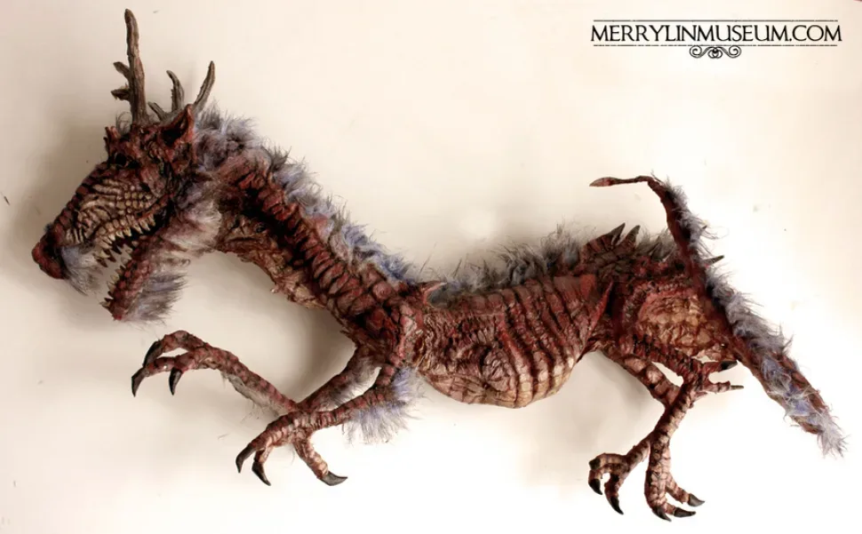 Изогнутый рогатый череп и скелетный торс экспоната Merrylin Museum Изогнутый рогатый череп и скелетный торс экспоната Merrylin Museum