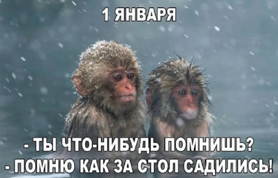 Новогодний юмор: шутки и смешные моменты — выпуск 14: фото 52