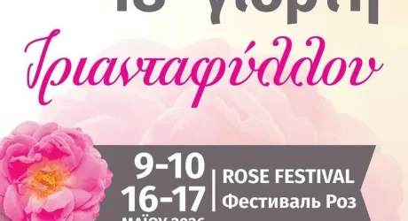 Фестиваль роз в Агросе