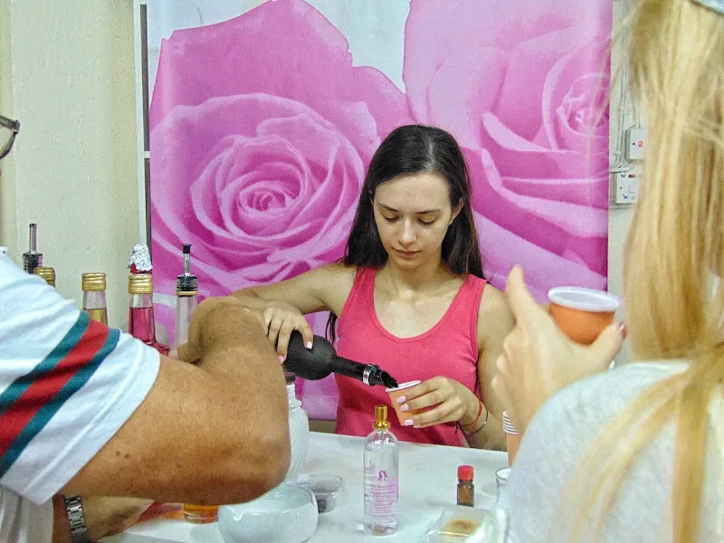 Бутон и раскрытые розы розового цвета на фоне зелени сада