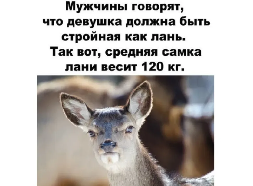 Винтажная сцена с женщиной на полу и печатной машинкой и надписью про работу