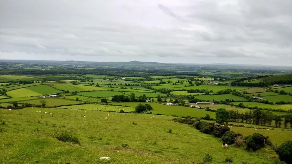 Ireland, Nature, Landscape, Travel, Grass