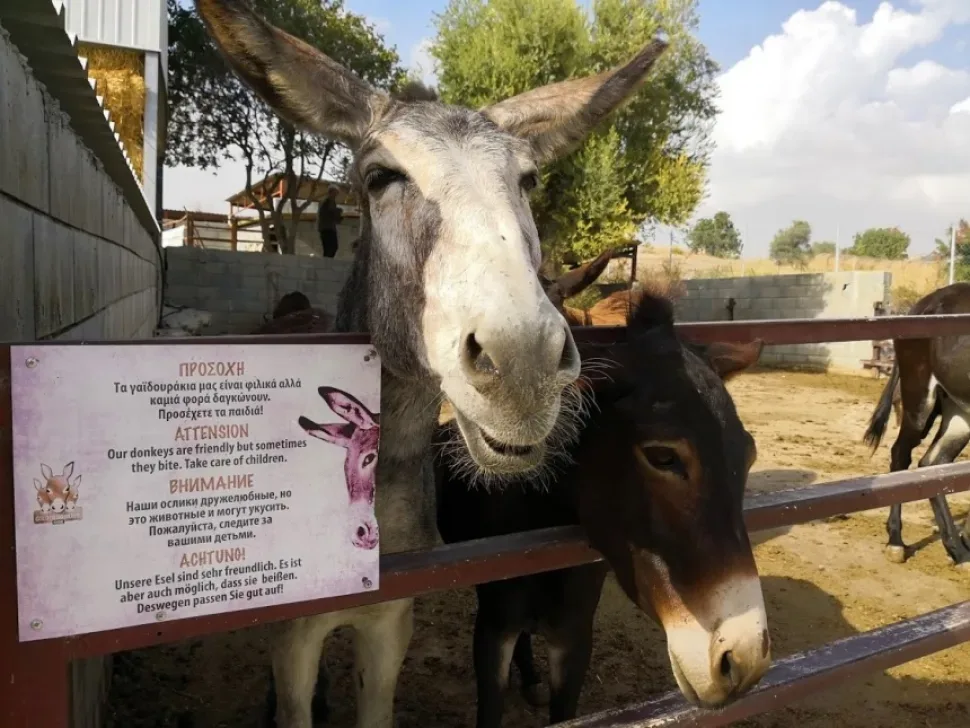 Деревянный указатель Farm‑Museum около каменного строения на ферме Деревянный указатель Farm‑Museum около каменного строения на ферме