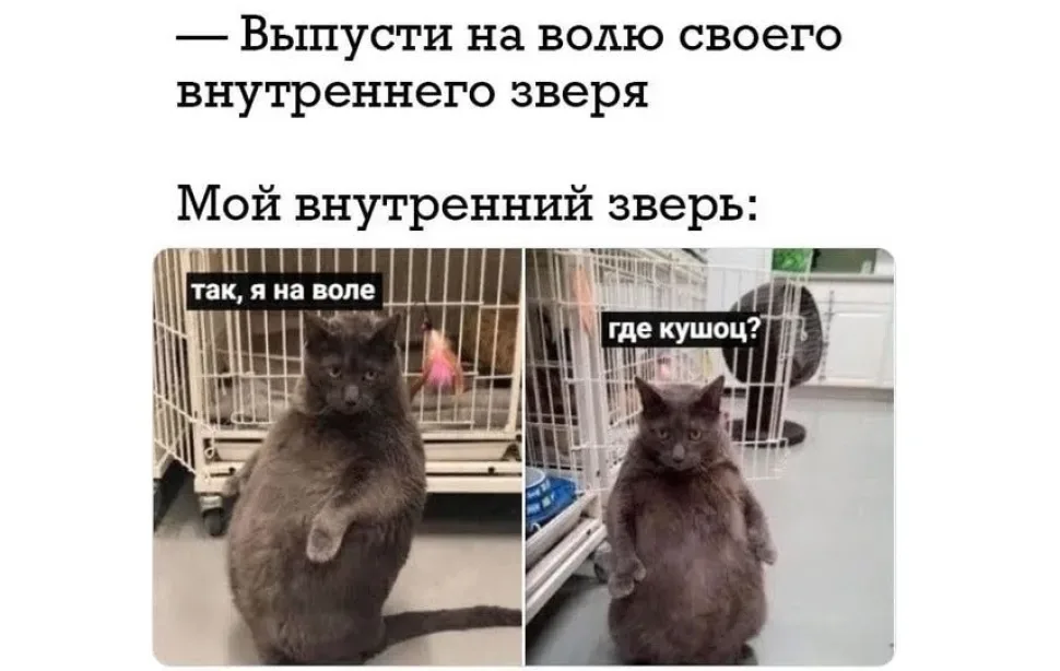 Кадр с актрисой в постели и подписью о неходе на работу и перепутанных выходных