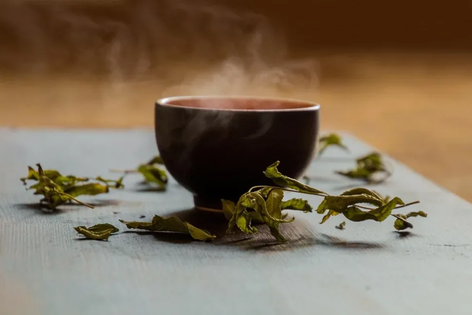 Tee, Teacup, Green Tea, Steam, Hot Tea, Teatime, Drink Tee, Teacup, Green Tea, Steam, Hot Tea, Teatime, Drink