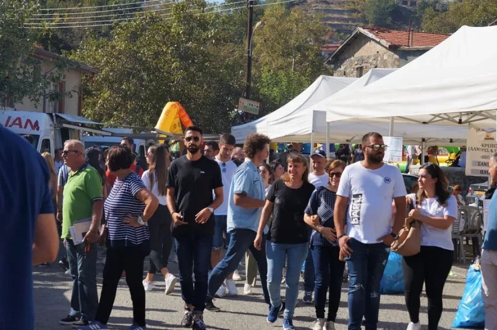 Пластиковые кадки с молодыми яблонями и картой деревни на площади