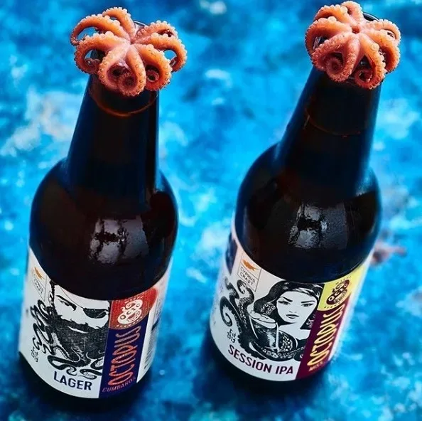 Бутылки пива Octopus рядом с варёным осьминогом как фирменная подача