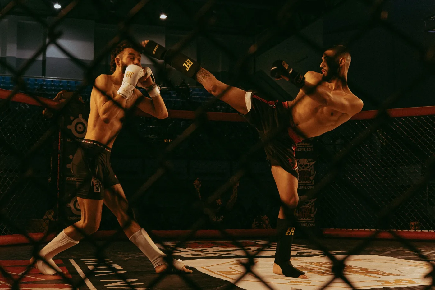 EFC2 - Elite Fighting Championship