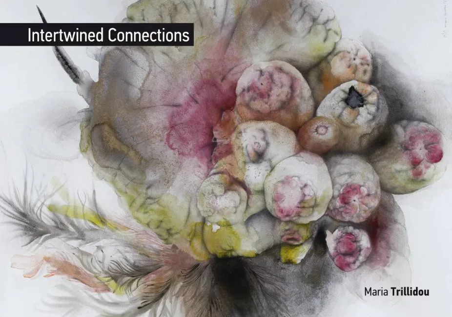 Intertwined Connections