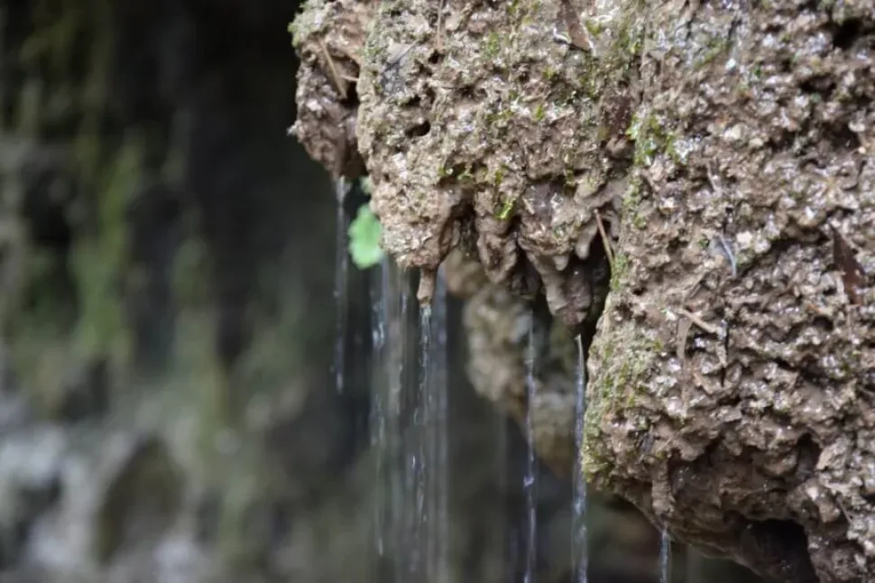 Сталактиты с каплями воды на берегах реки Диаризос в деревне Фини