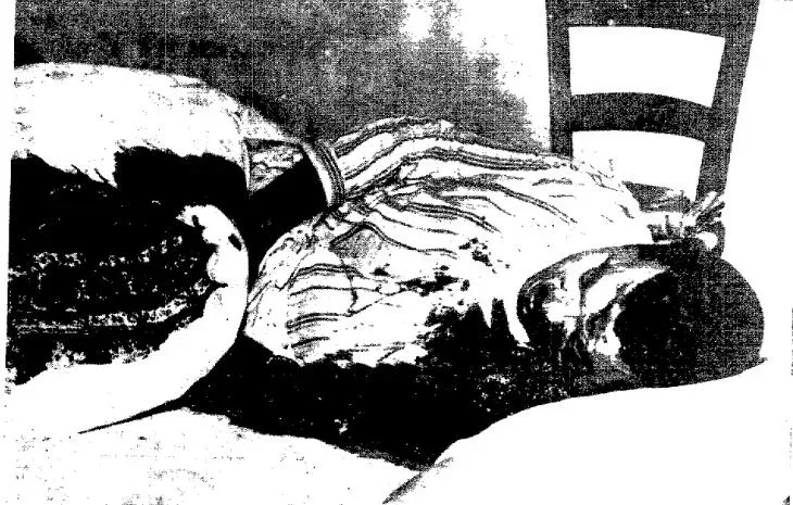 Тело убитого журналиста, лежащее в кровати — сцена убийства Айхана Хикмета Тело убитого журналиста, лежащее в кровати — сцена убийства Айхана Хикмета