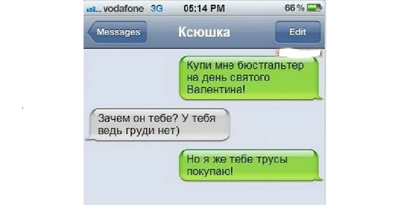 Скрин переписки с просьбой купить бюстгальтер на День святого Валентина