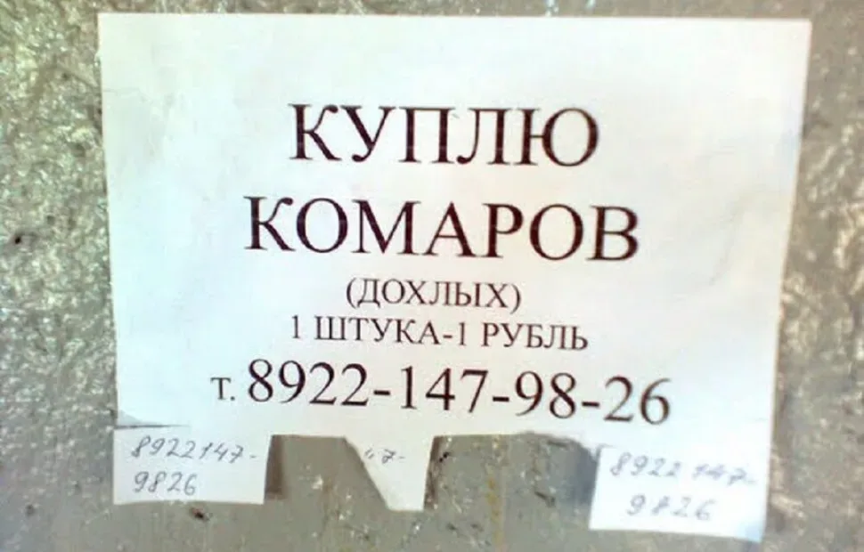 Парад женщин в костюмах ведьм с зелёными лицами и метлами