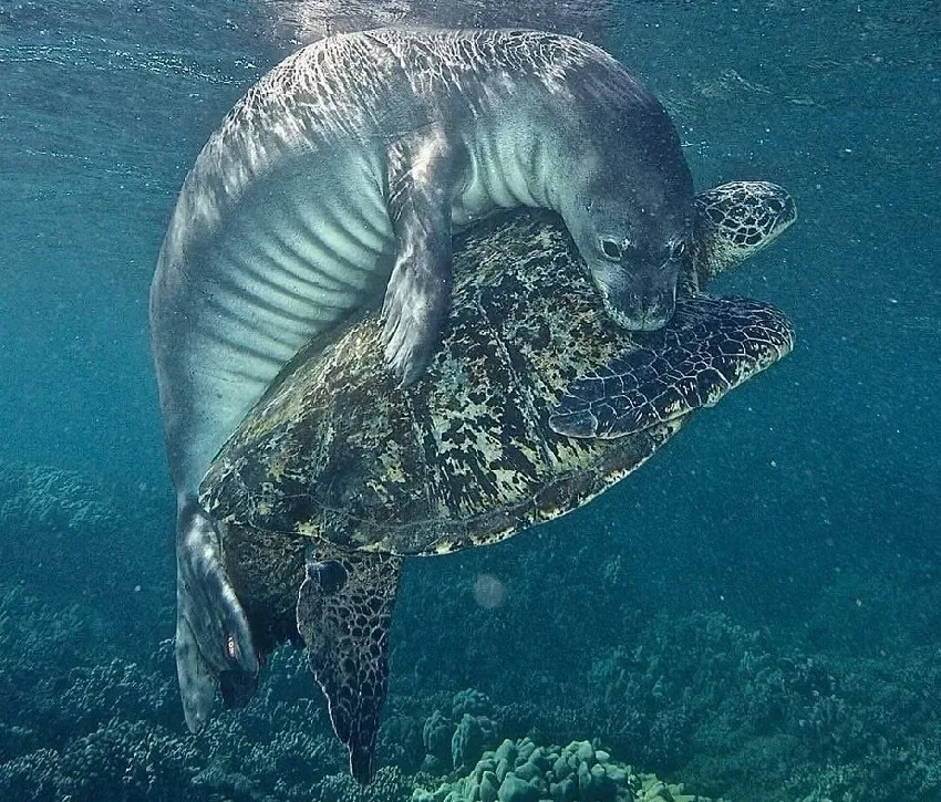 Морские пещеры и белые скалы у Пафоса — фото и координаты: фото 59