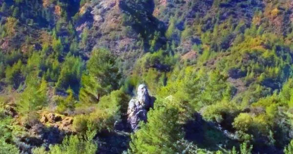 «Каменный человек», затаившийся в лесу Пафоса (фото)